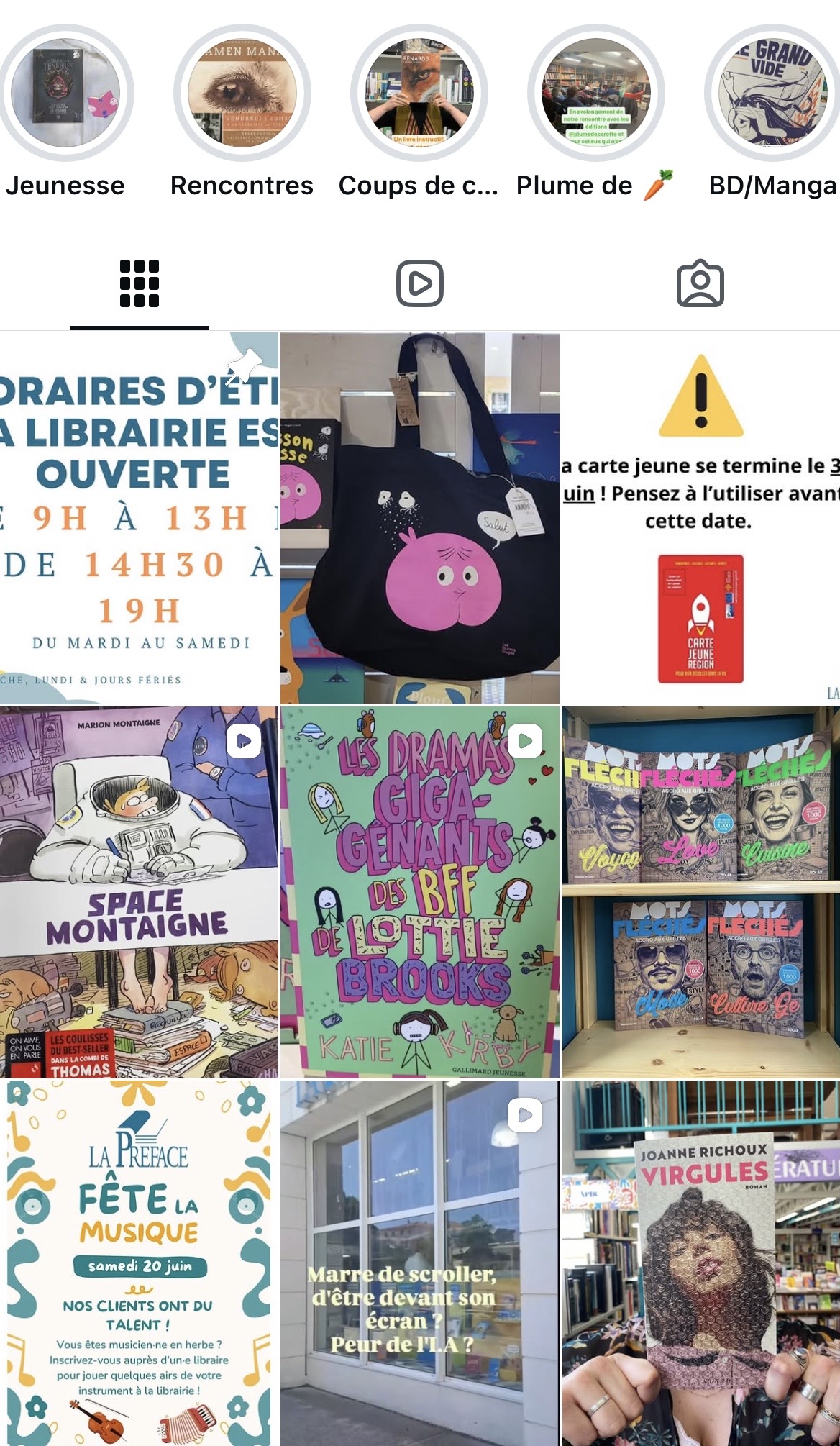 Flux Instagram