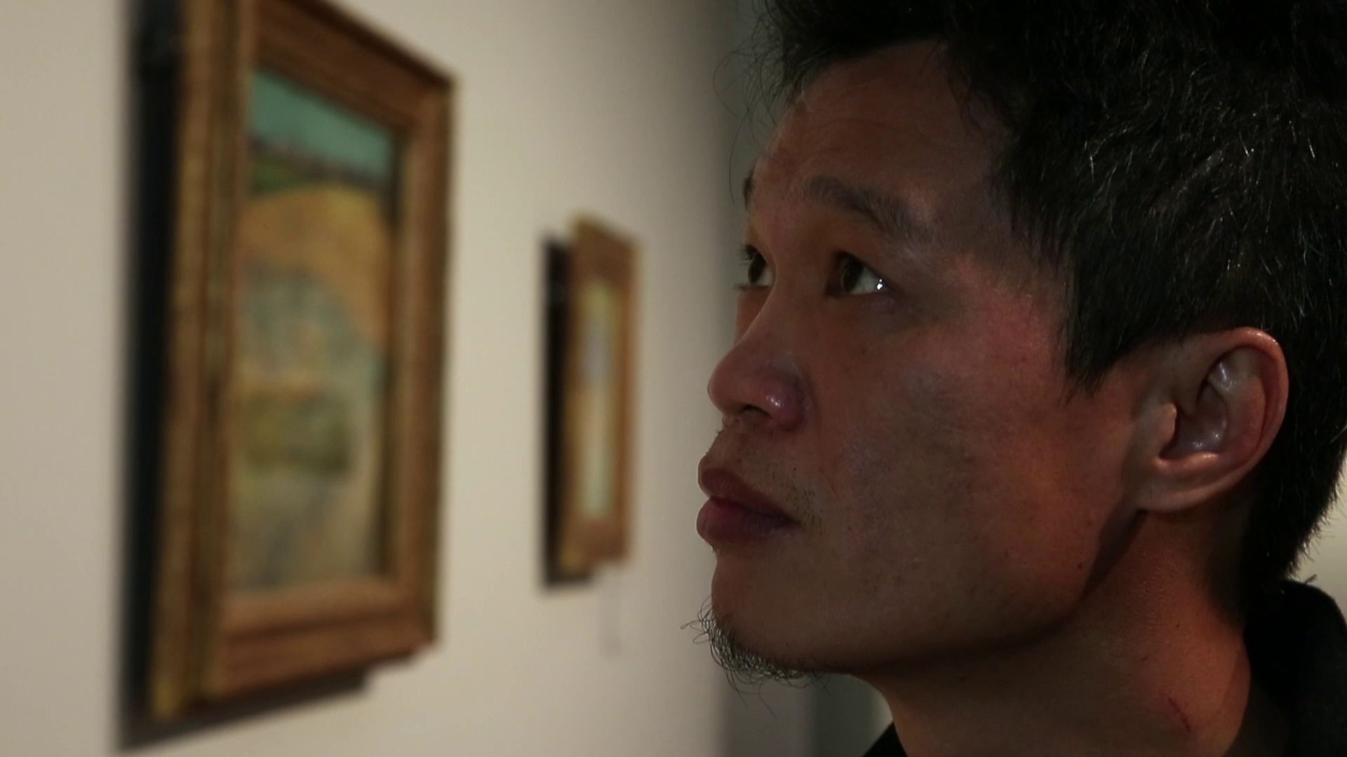 Chinas Van Goghs 6