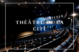 SITE Lieux Culturels Theatre De La Cité