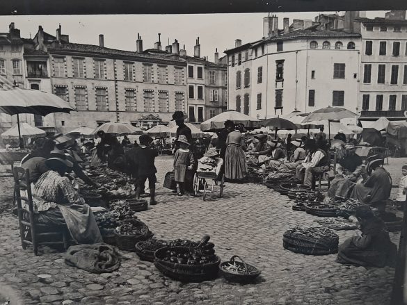 Marché Des Salins Eugène Trutat