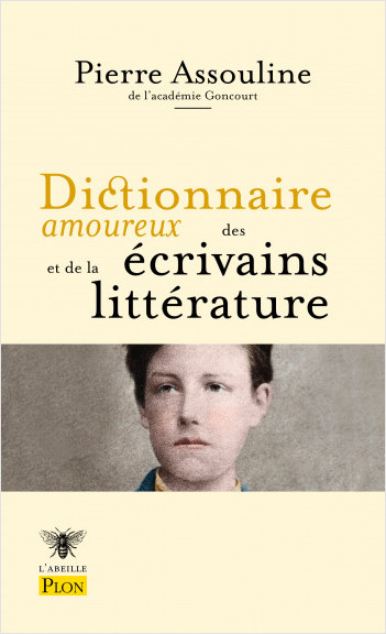 Dictionnaire Amoureux Des Écrivains Et De La Littérature De Pierre Assouline