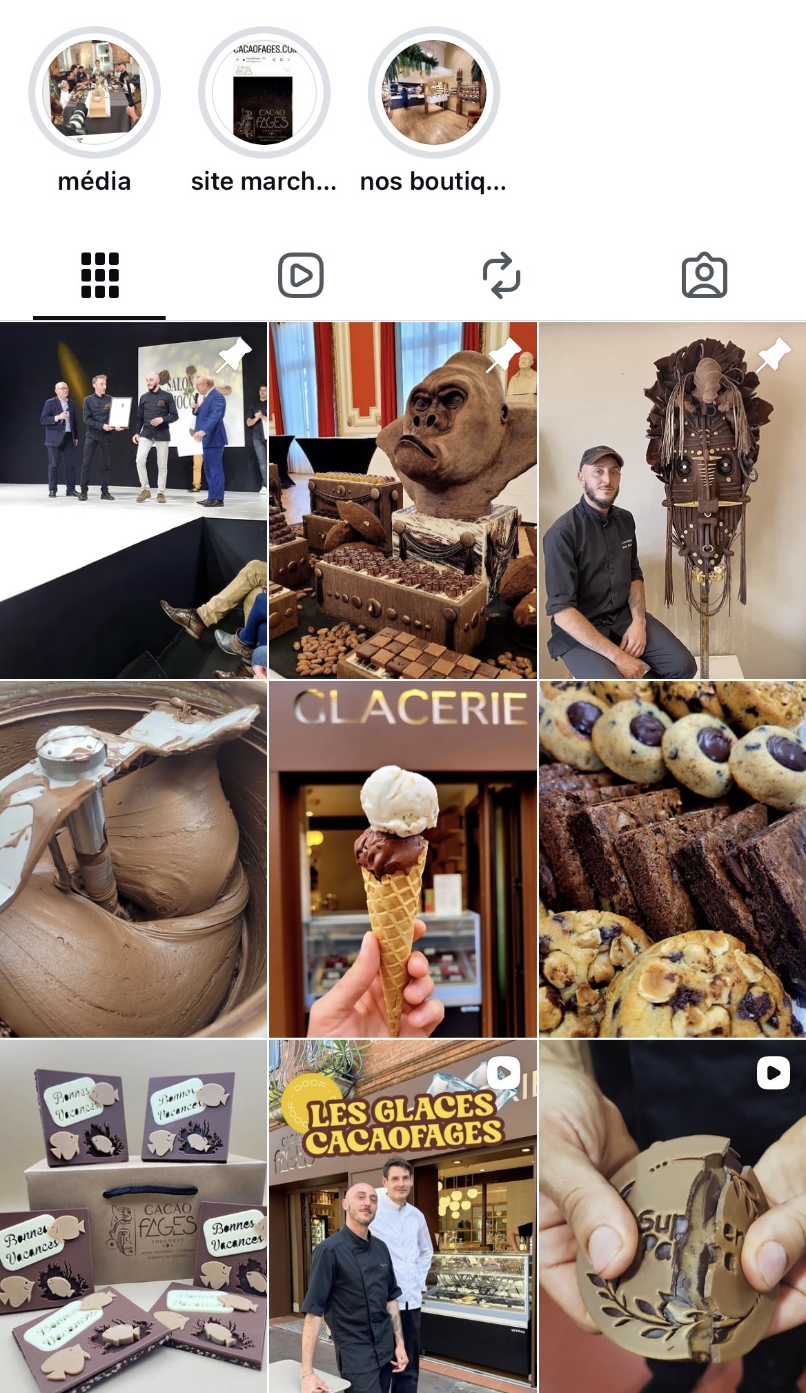 Flux Instagram