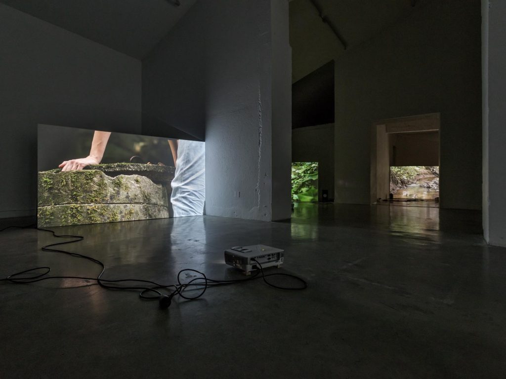 Exposition « remonter les rivières » de Laura Molton à la Maison Salvan, 2023. Photographie : Vincent Boutin.