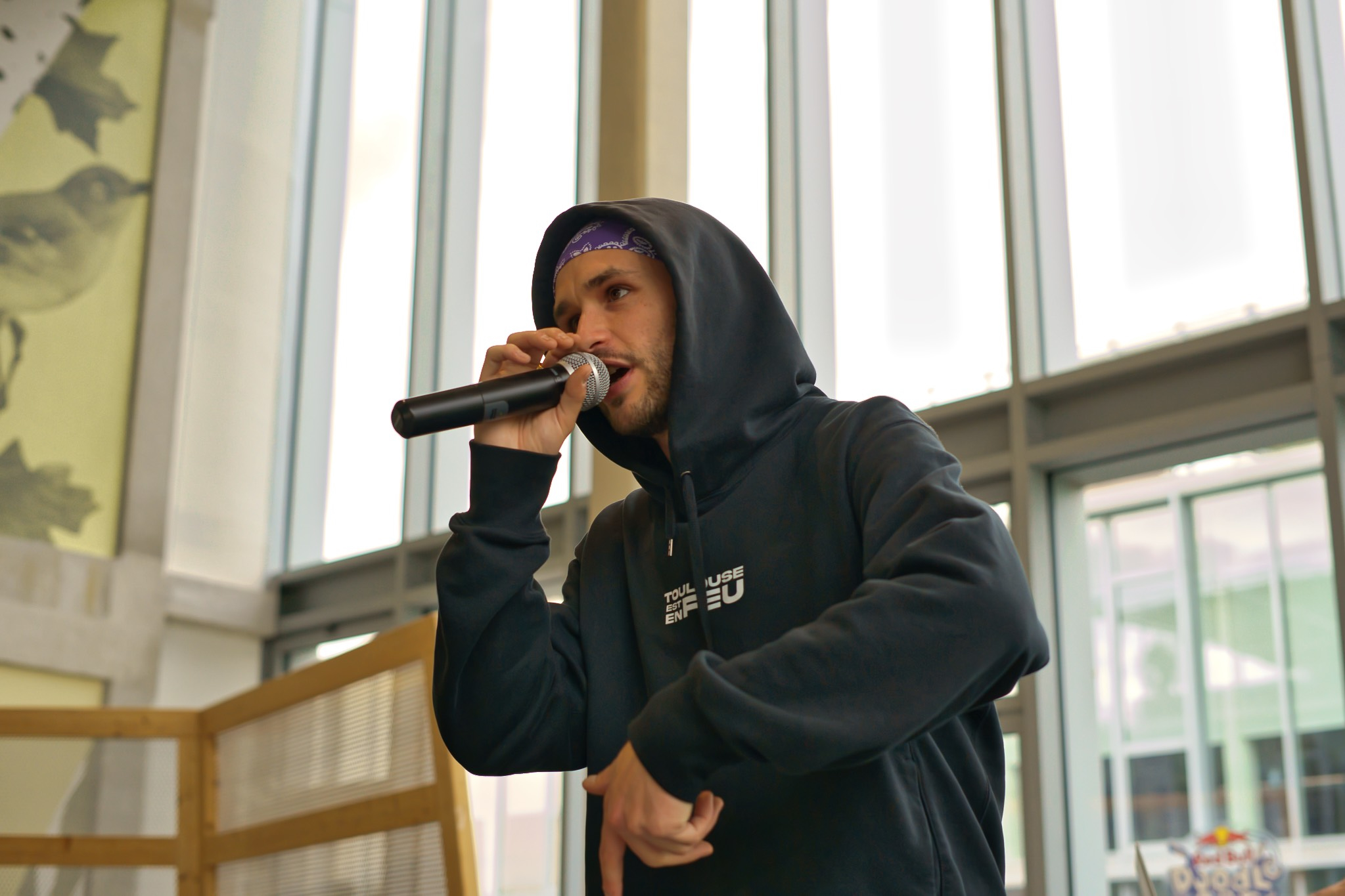 IMG 6698 Png