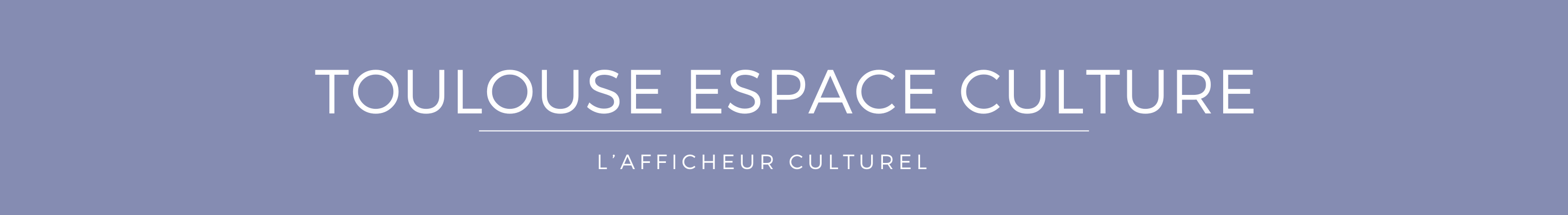 Toulouse Espace Culture TEC 2