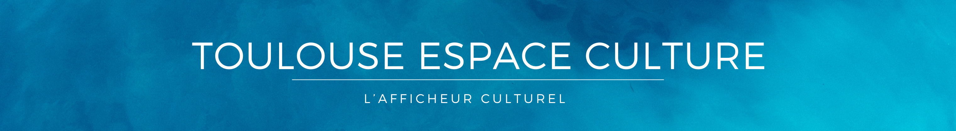 Toulouse Espace Culture TEC 3