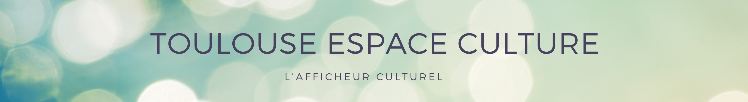 Toulouse Espace Culture TEC 4