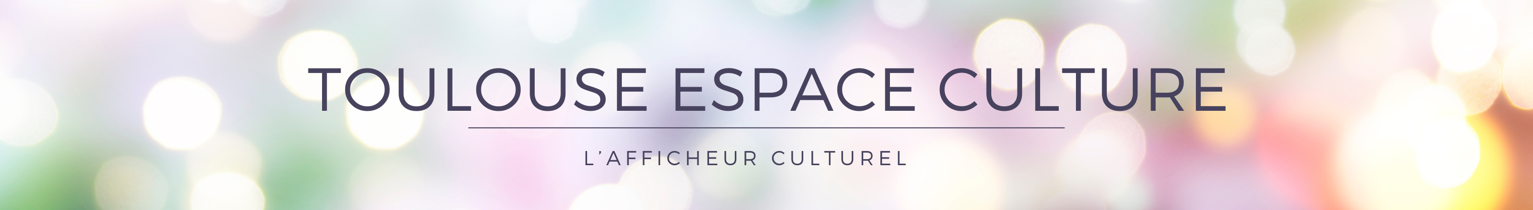 Toulouse Espace Culture TEC 5