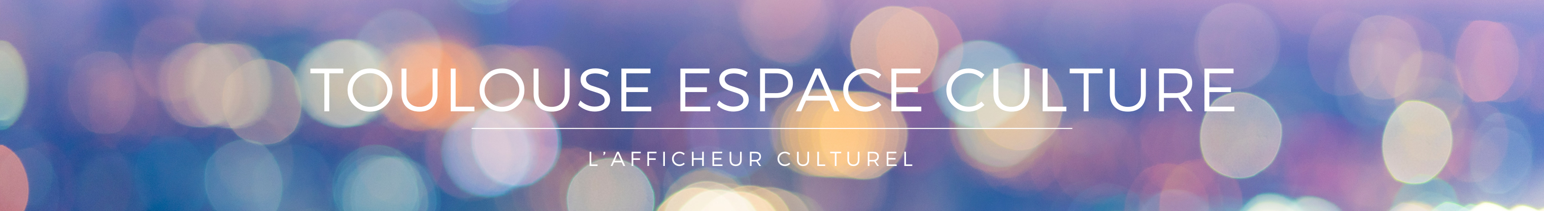 Toulouse Espace Culture TEC 6