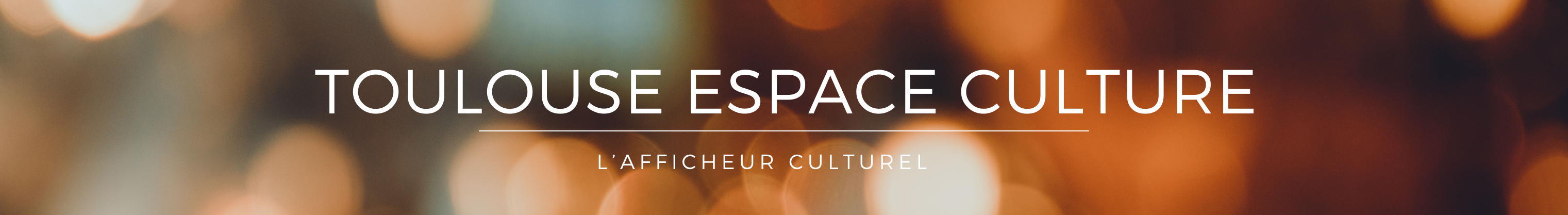 Toulouse Espace Culture TEC 7