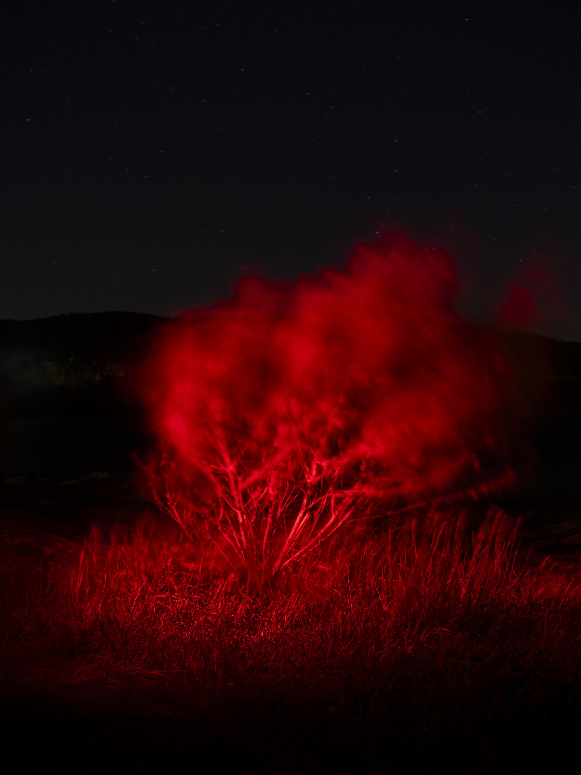Les Souffles Nocturnes