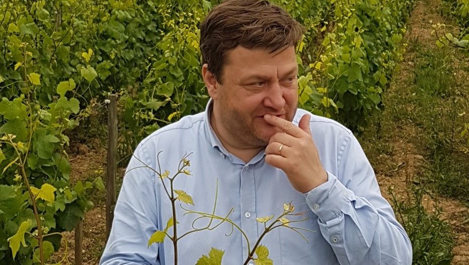 Sébastien Lapaque © Thierry Michon : Actes Sud