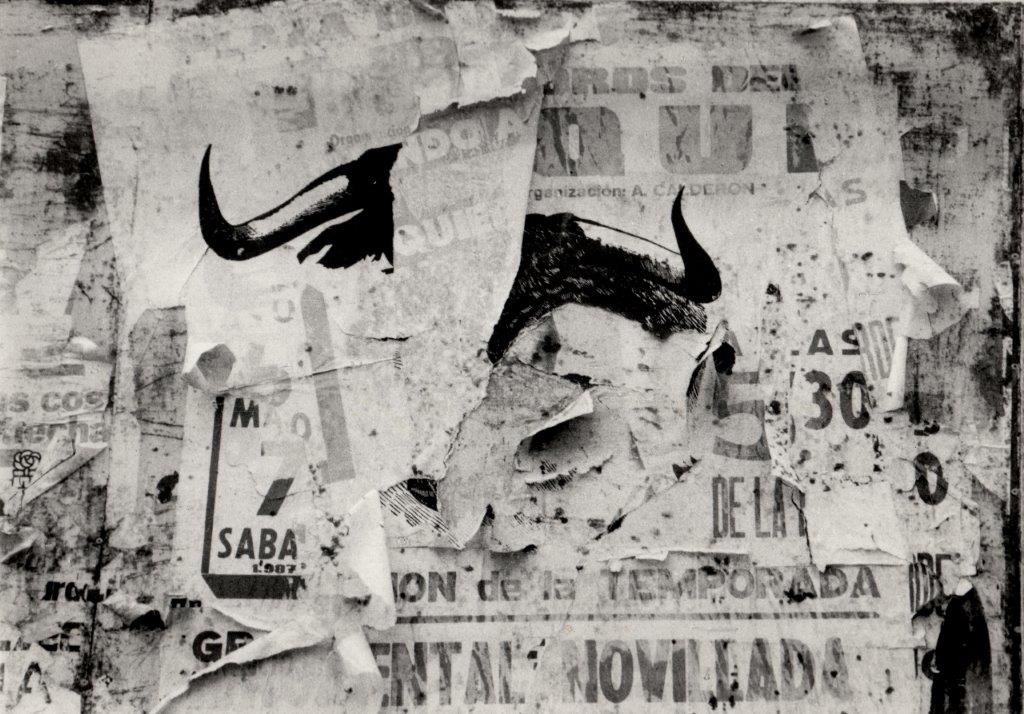 Affiche Toros Déchirée