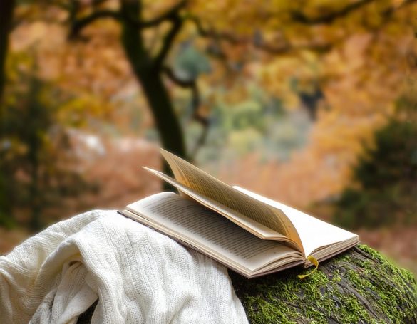 Autumn 7644257 1280