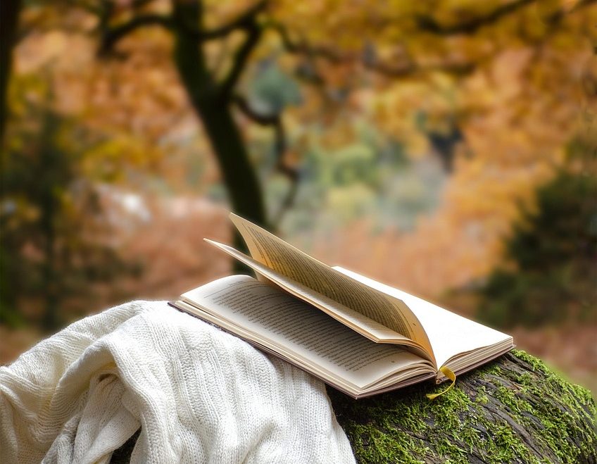 Autumn 7644257 1280