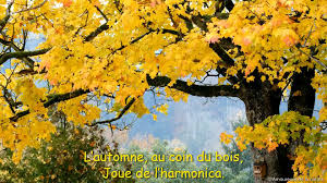 Images