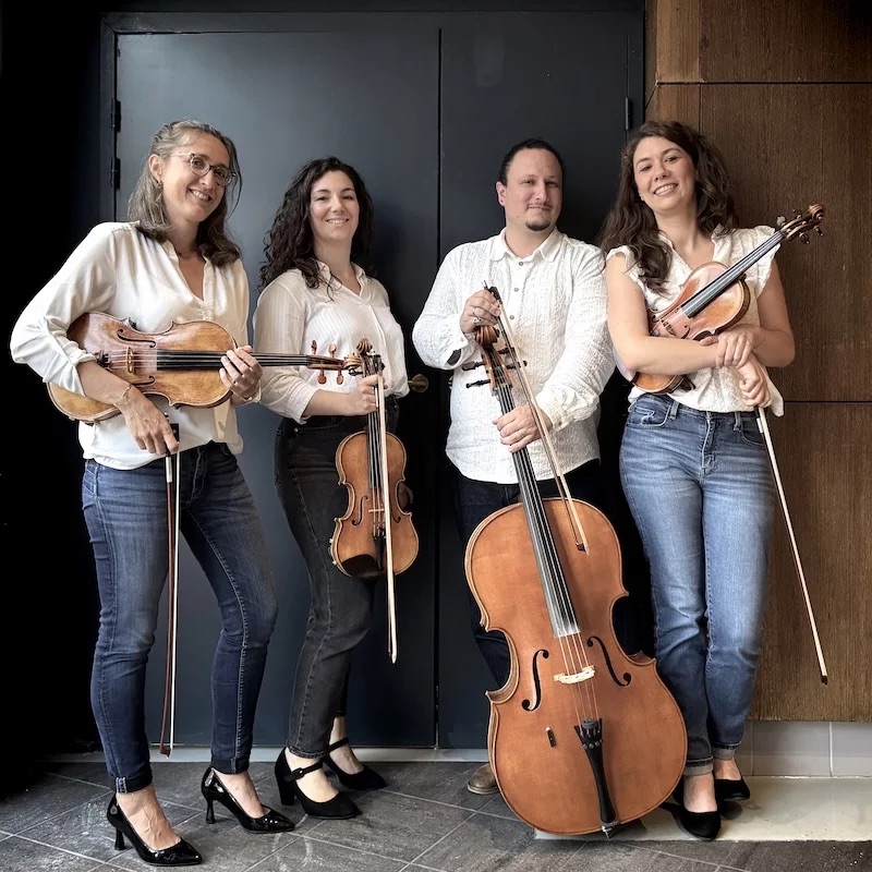 Les Musiciennes Et Musicien Du Quatuor À Cordes