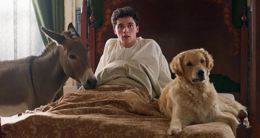 Arbre De La Connaissance