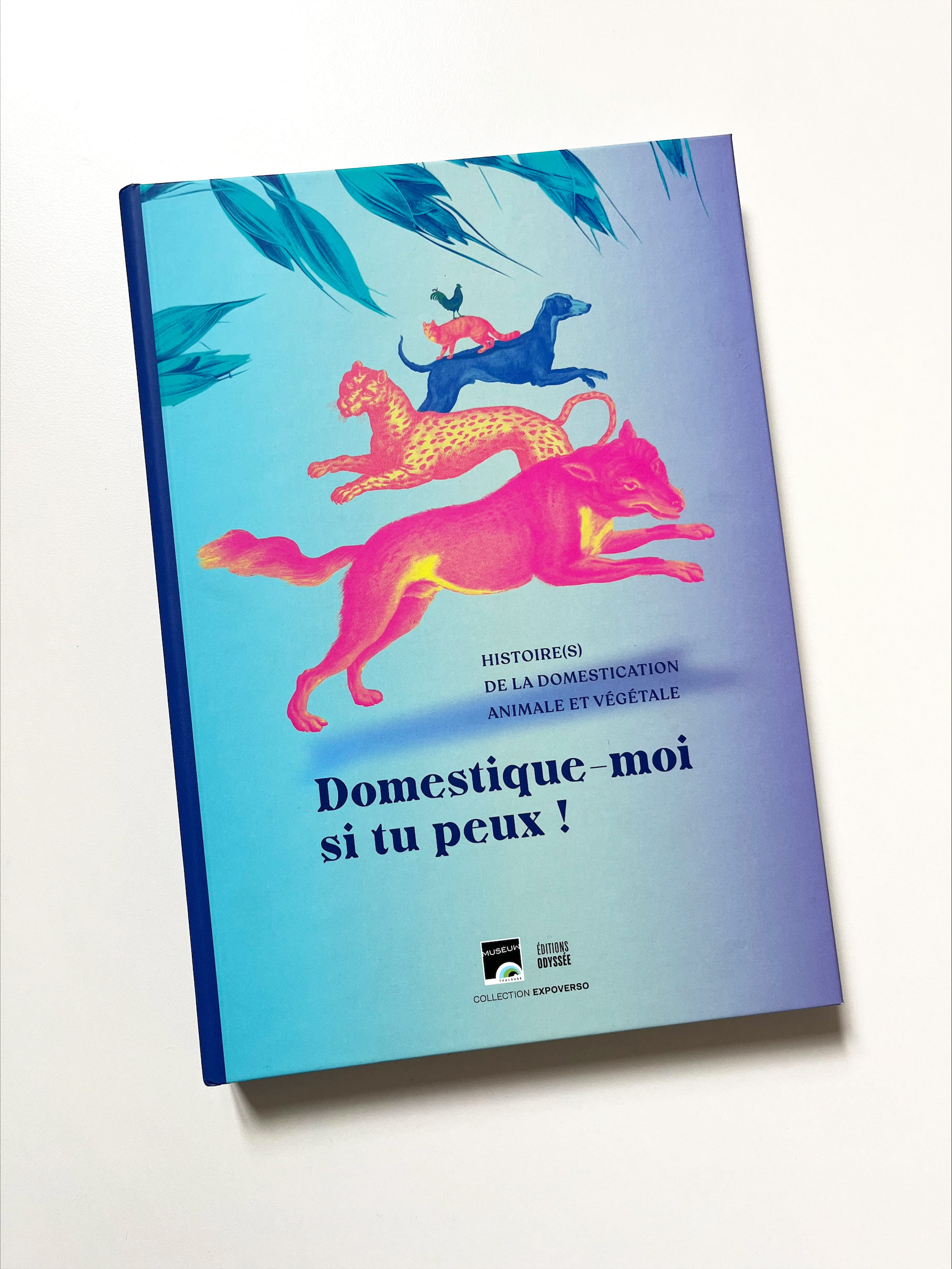 Domestique Moi Si Tu Peux Livre 2