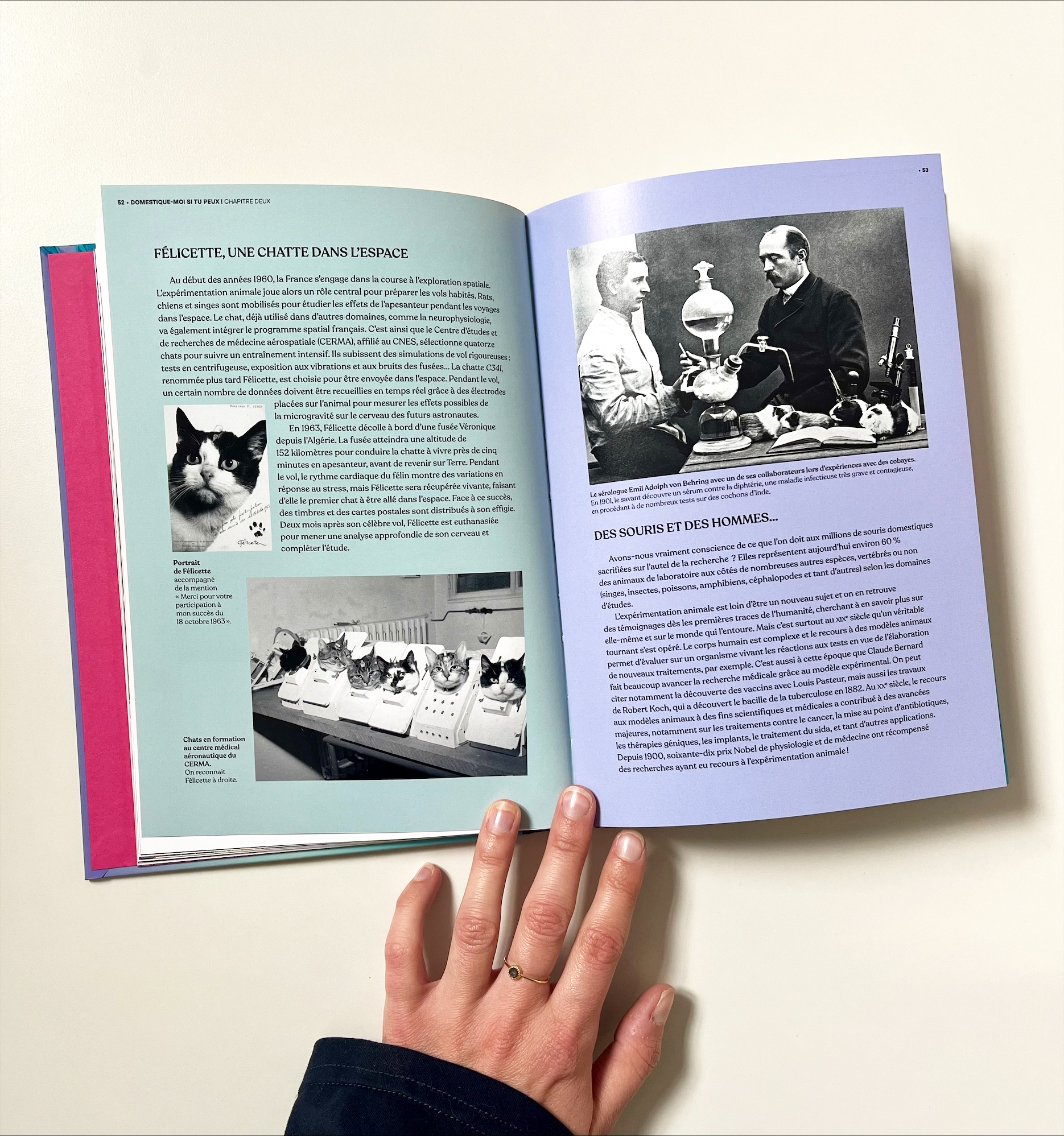 Domestique Moi Si Tu Peux Livre 3