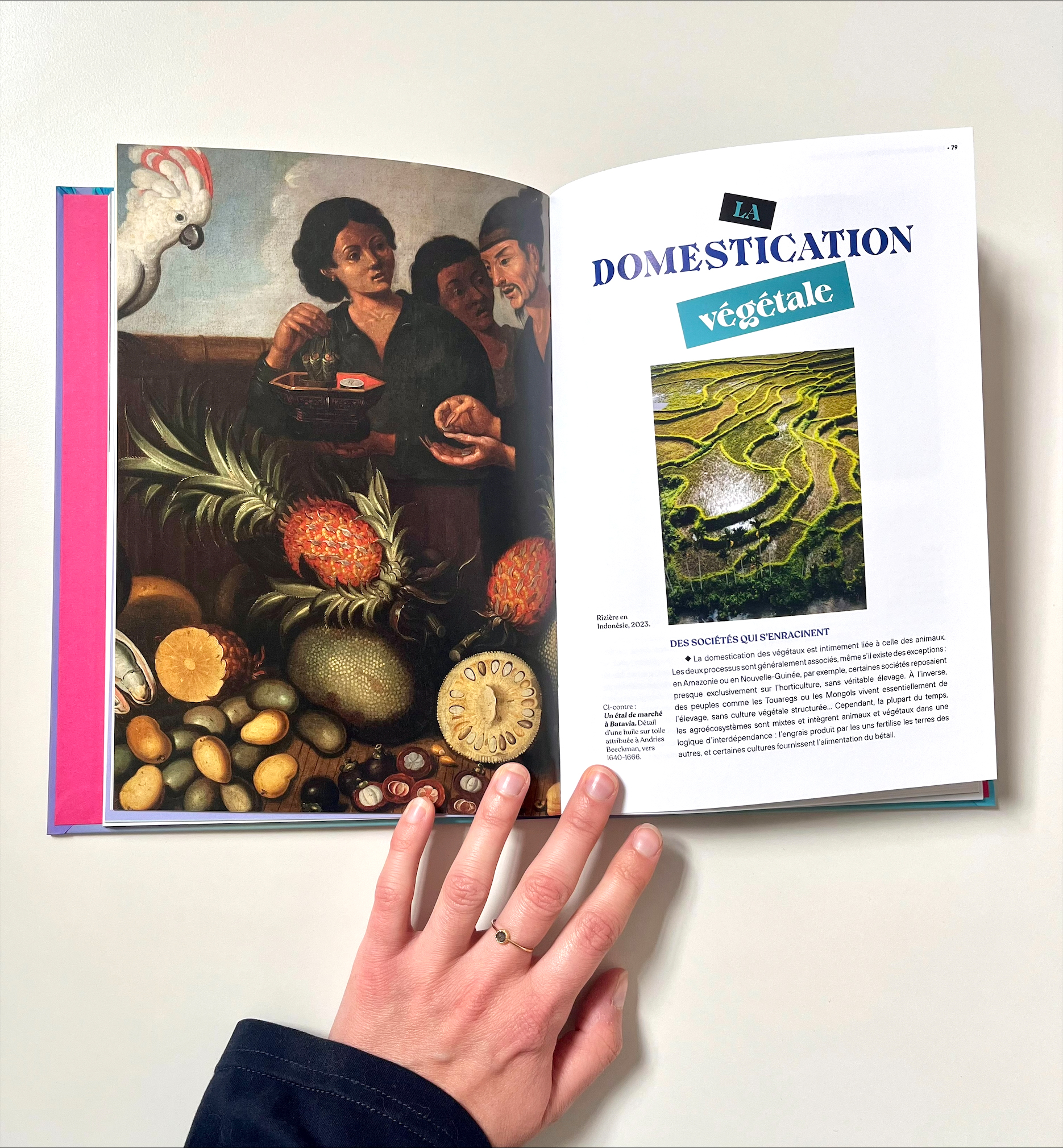 Domestique Moi Si Tu Peux Livre 4