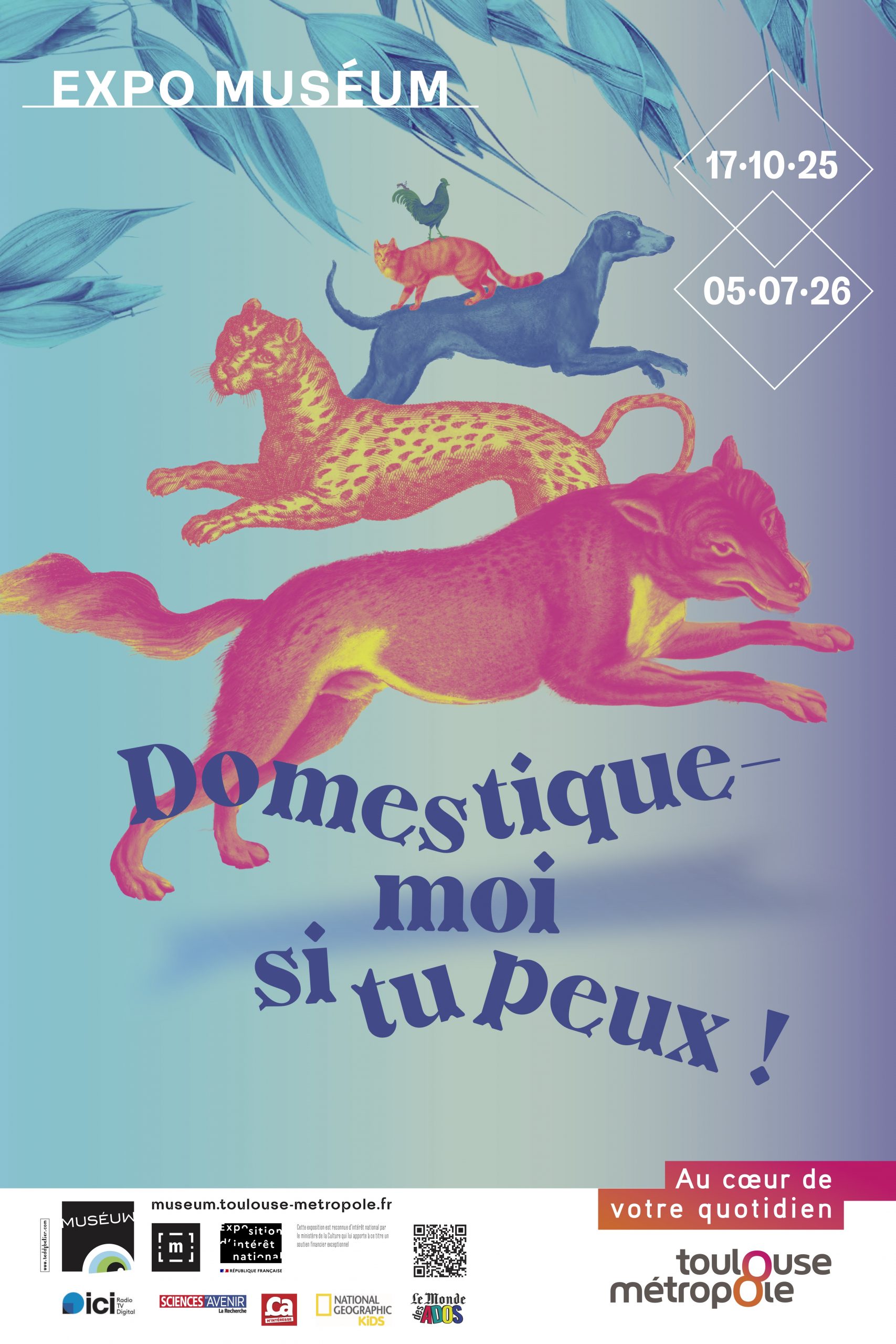 Muséum De Toulouse Domestique Moi Si Tu Peux !