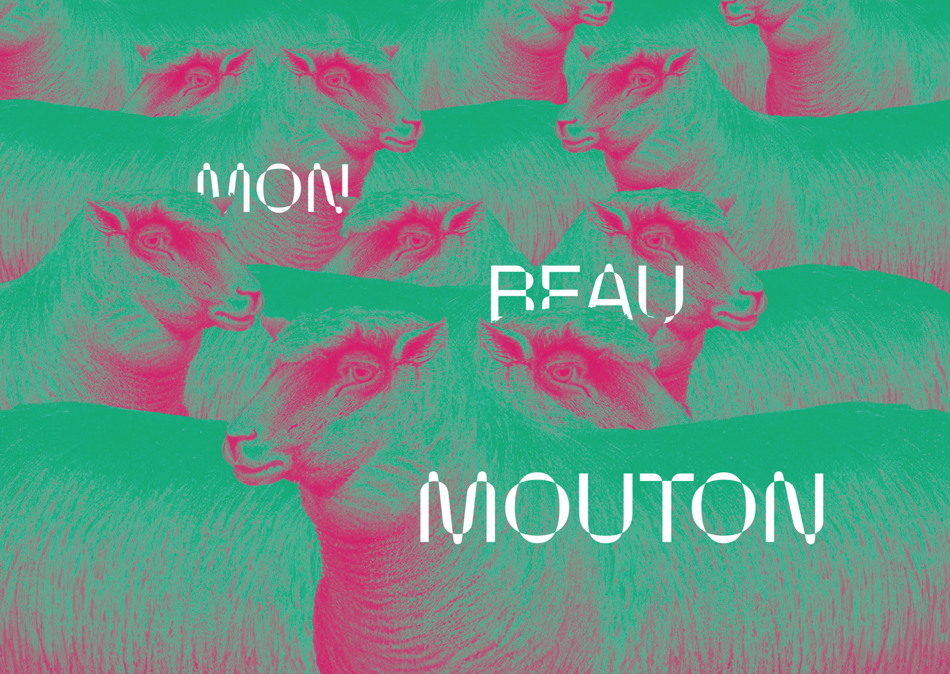 Muséum Mon Beau Mouton