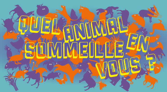 Museum Que Animal Sommeil En Vous ?