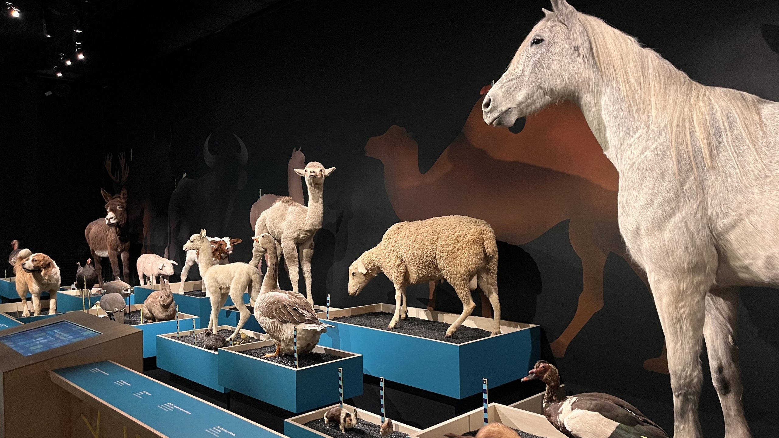 Domestique Moi Si Tu Peux ! 2