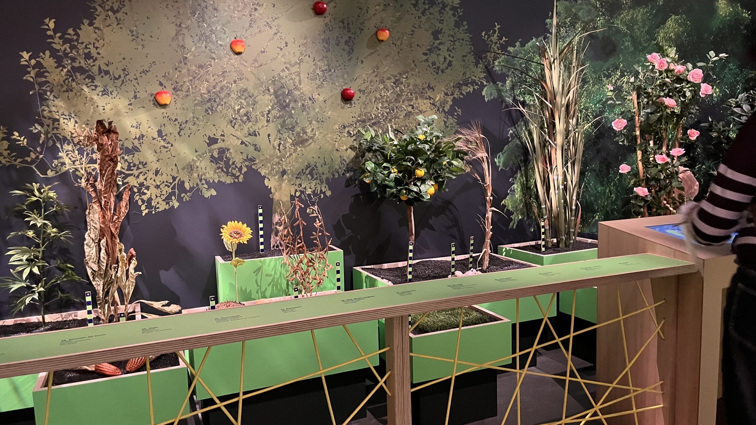 Domestique Moi Si Tu Peux ! 5