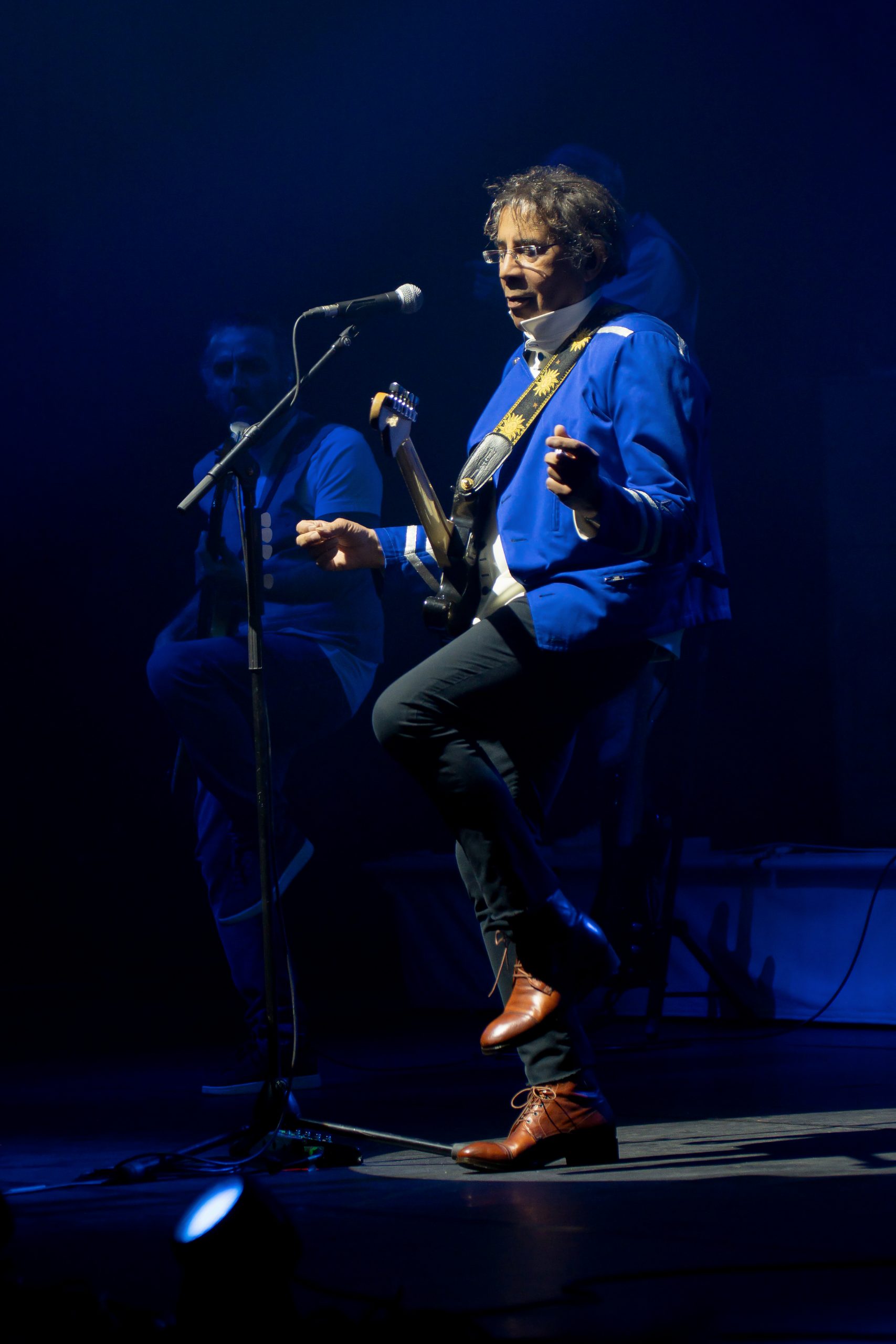 Laurent Voulzy Alice Morelli Pleyel