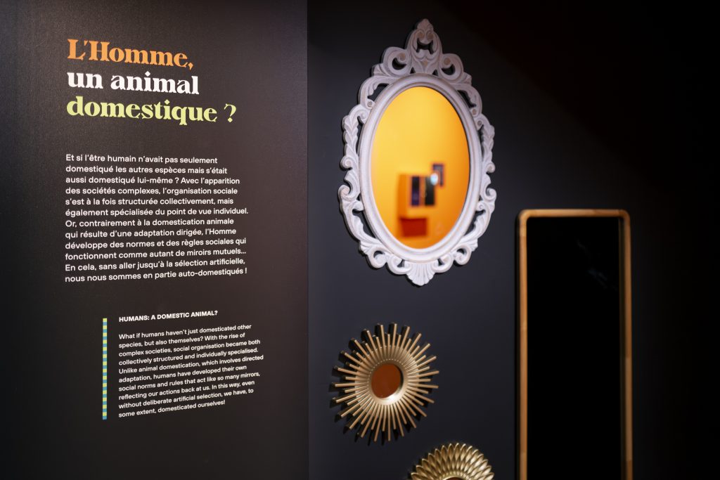 Une partie de l'exposition interroge sur la position de l'Homme. ©Leo Itarte