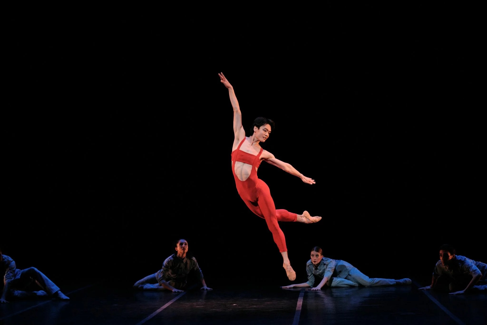 L’Oiseau De Feu © Admill Kuyler