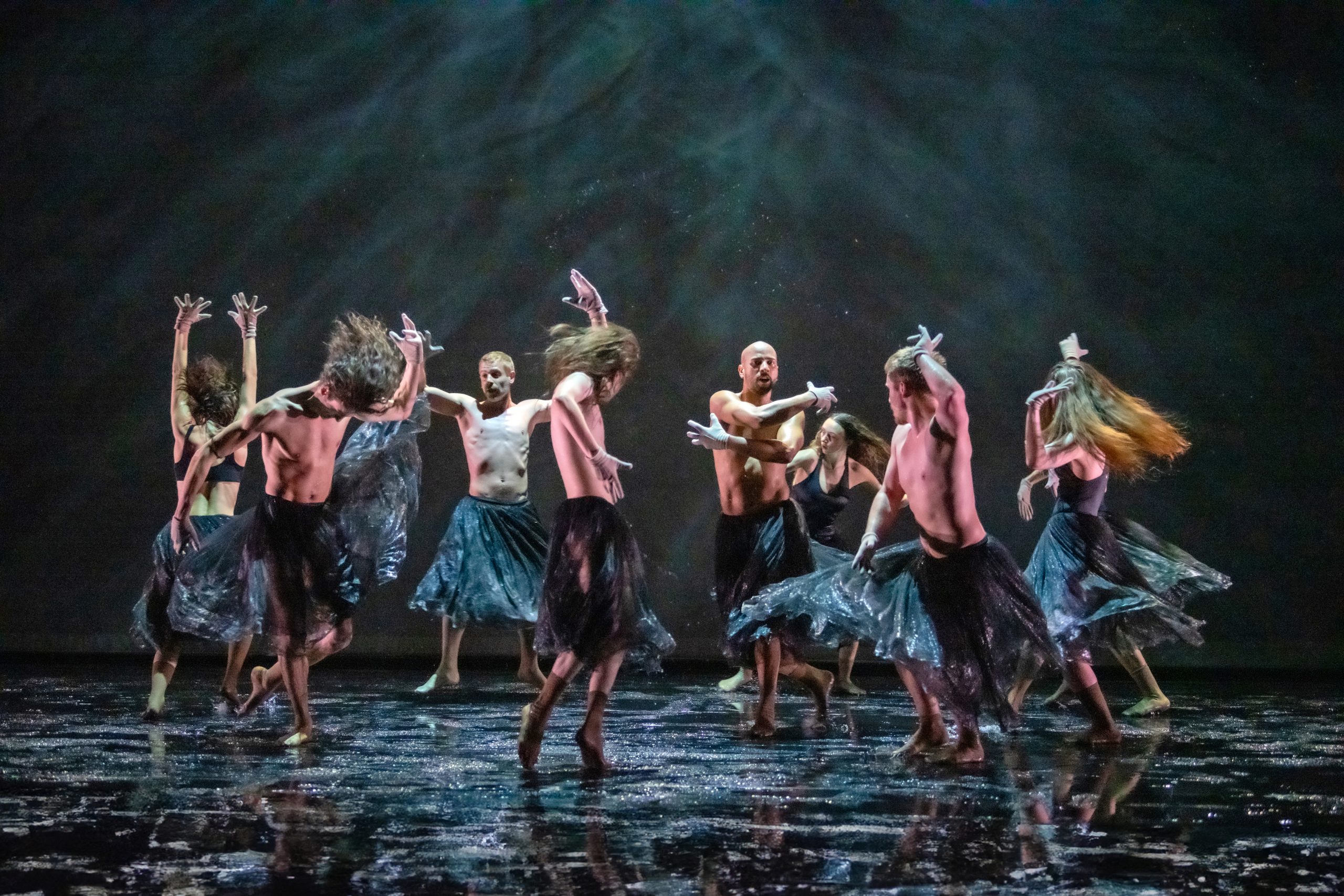 078 Didon Et Enée 2024 Dan Aucante