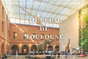 Museum De Toulouse