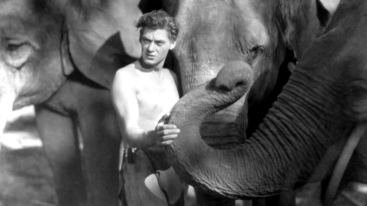 Tarzan