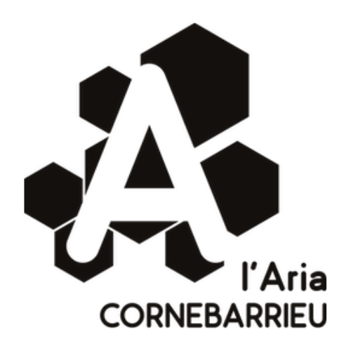 L&rsquo;Aria