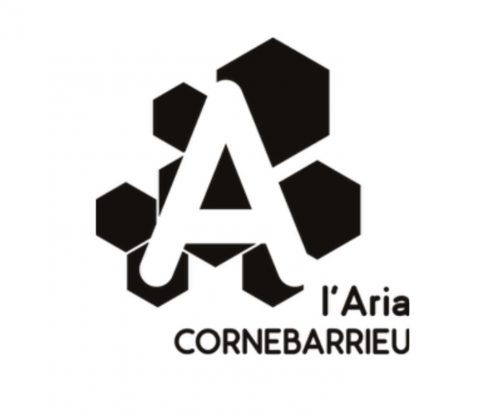 L&rsquo;Aria