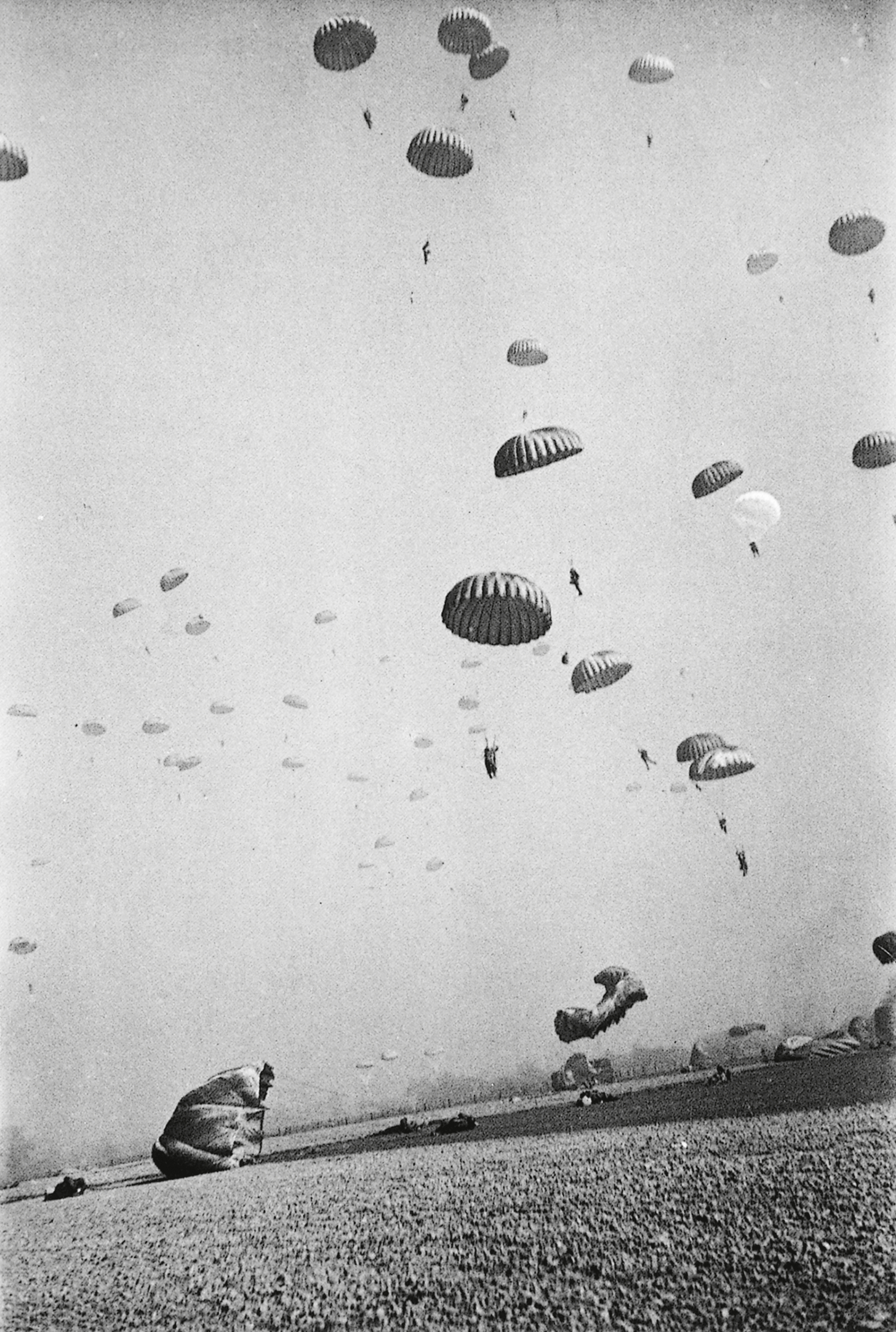 Capa Paras