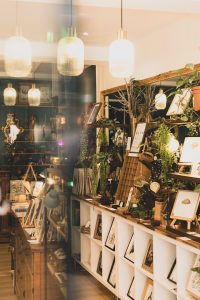 Les Curiosités D'arboria 1