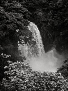 Mono No Aware #4