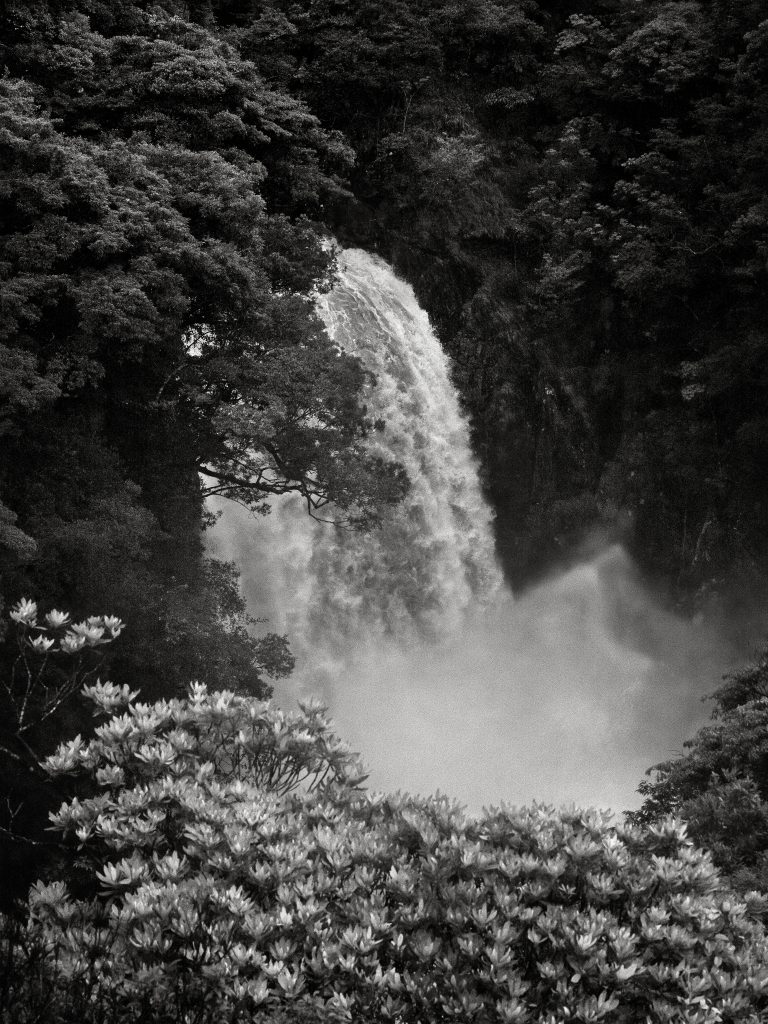 Mono No Aware #4