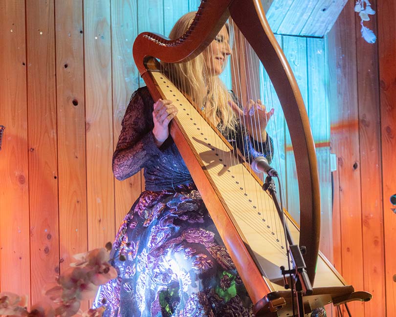 Photo 1 Concert Harpe