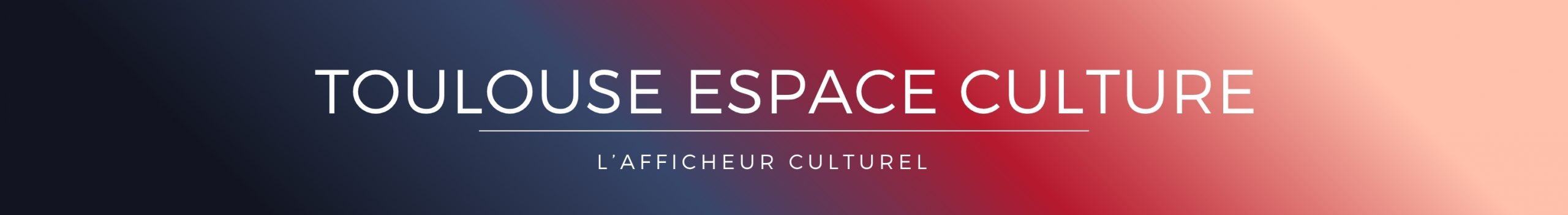 Bannière Toulouse Espace Culture 2