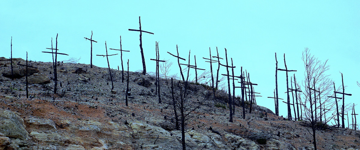 Forest Fire Burnt Mountain Degradation Death Artistic Crosses Firewood Burned 658854
