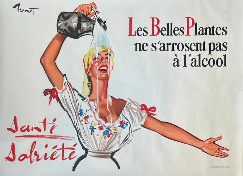 LES BELLES PLANES