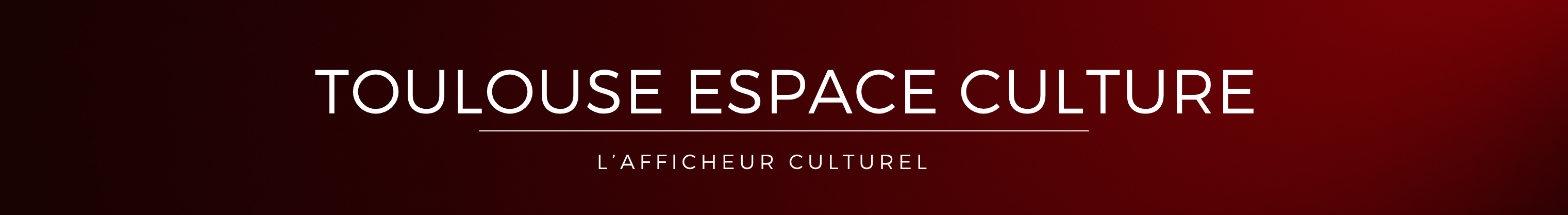 Toulouse Espace Culture TEC 8