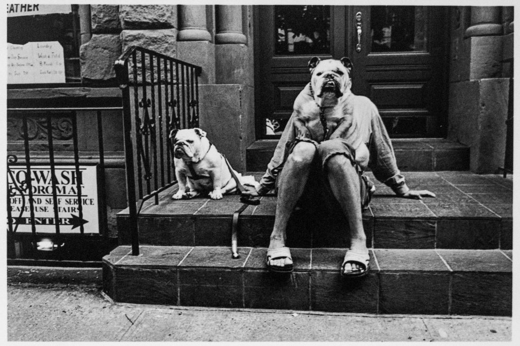 Erwitt 2