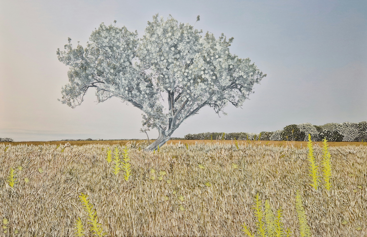 Dans La Couleur Du Néant, Peinture, Pastel Et Grattage Sur Photographie, 100x150cm, 2026