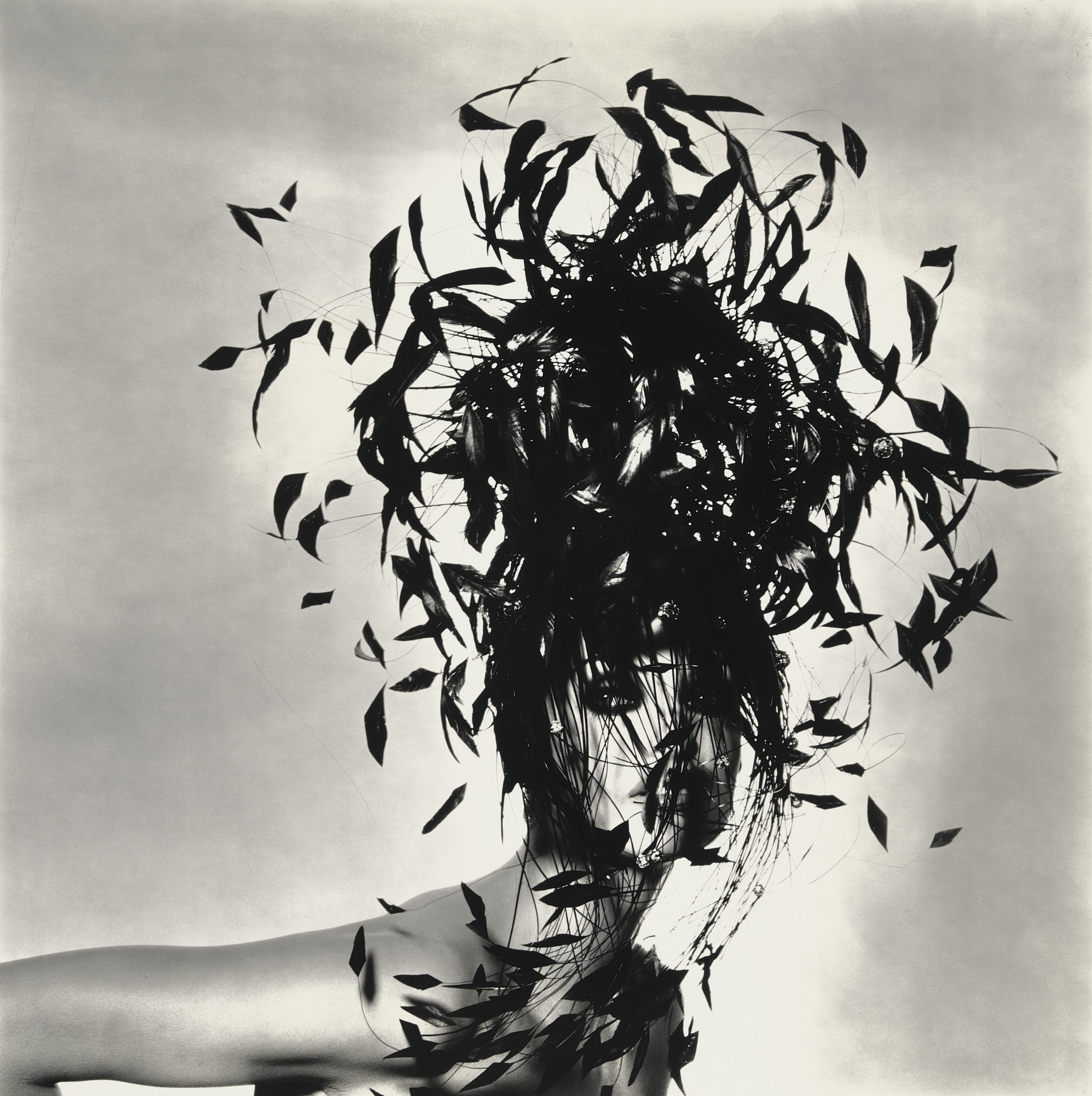 Woman In Feather Hat